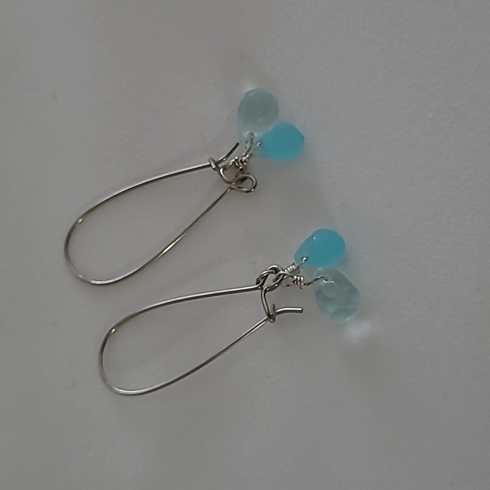 Oblong drop crystal earrings